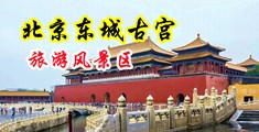 黑丝袜美女被艹内射喷白浆中国北京-东城古宫旅游风景区